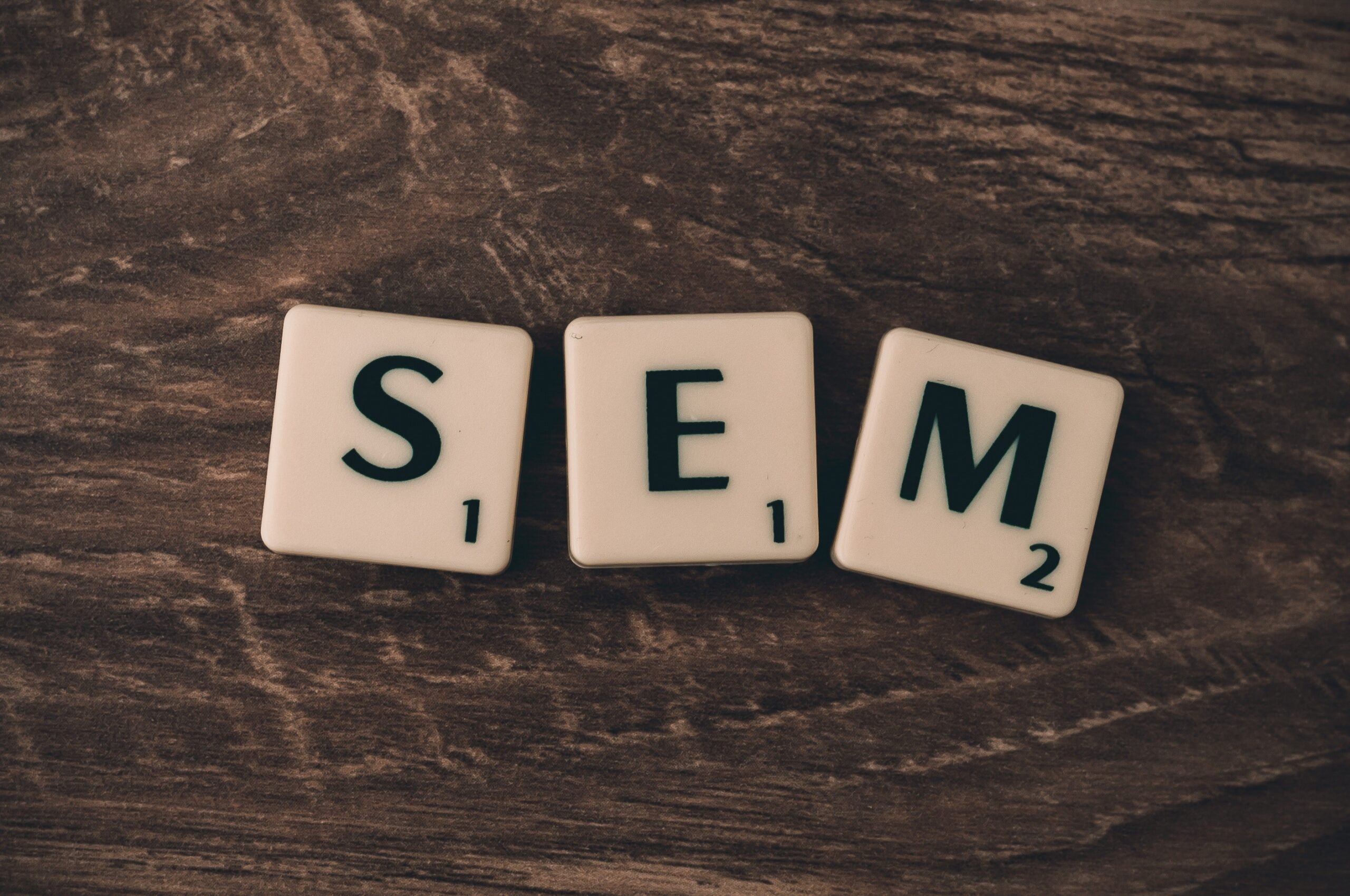 Read more about the article What is SEM?